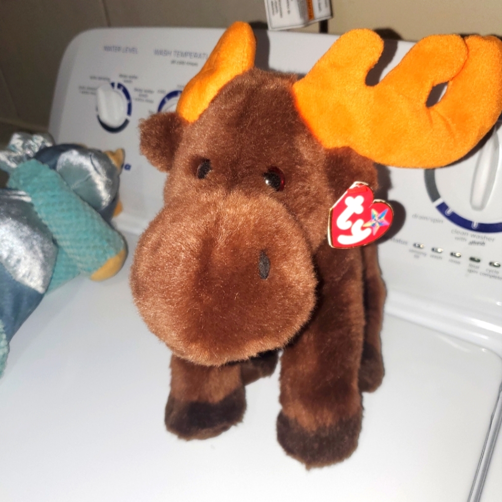 Chocolate moose TY beanie baby